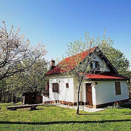 Holiday Home Coprnicka Hisa Skrad Kültér fotó