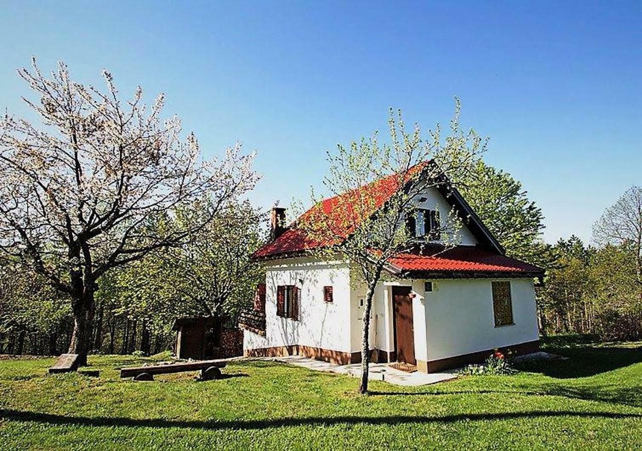Holiday Home Coprnicka Hisa Skrad Kültér fotó